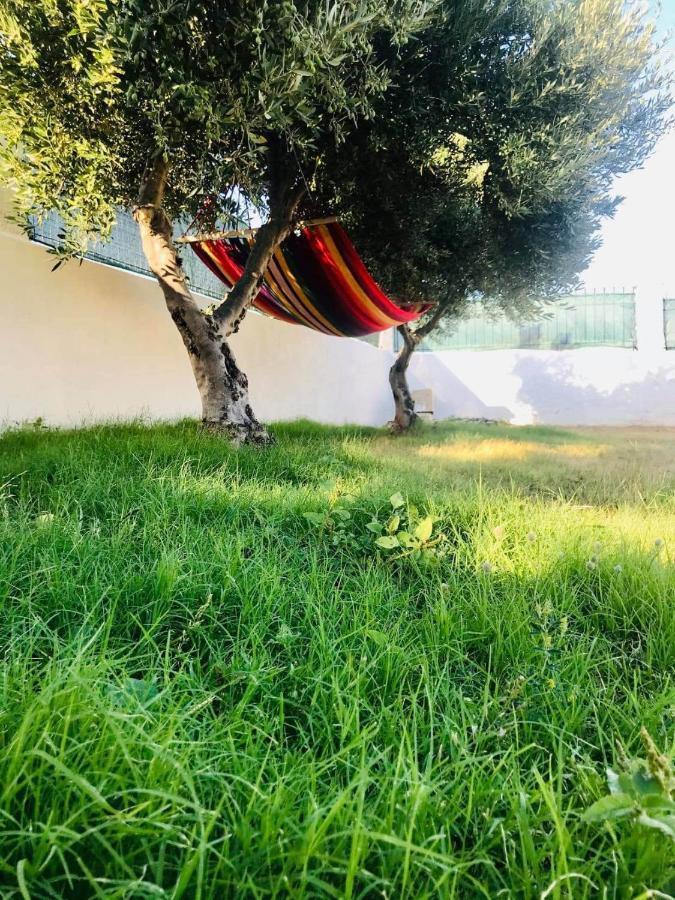Villa Doxa Ierápetra エクステリア 写真
